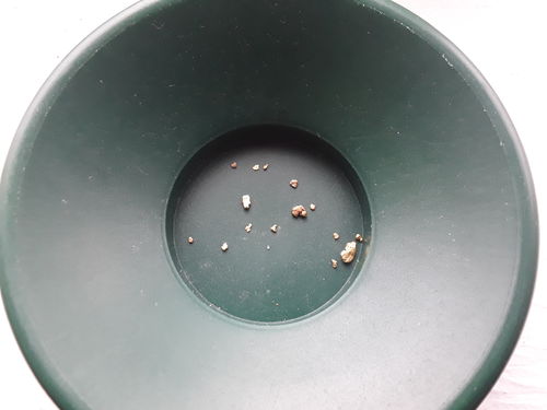Customer photo review of *BOGO* Pioneer '2 OUNCE NUGGET HUNT' - Gold Panning Paydirt Concentrate