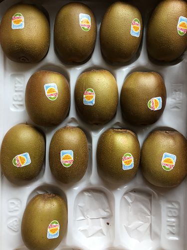 Customer photo review of [Zespri] Gold Kiwis 1box (18ct)