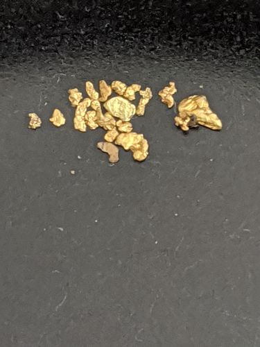Customer photo review of 2 Lb. JACKPOT PAYDIRT™ Gold Paydirt Unsearched