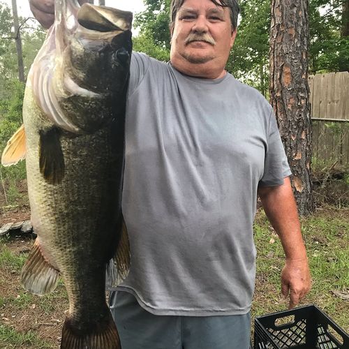 Customer photo review of Headbanger RockerHead 3-pack