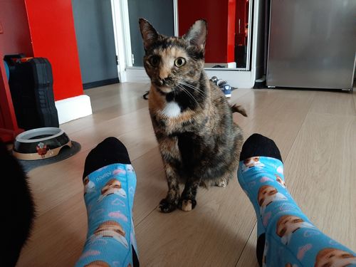 Customer photo review of Chaussettes Personnalisées Visage