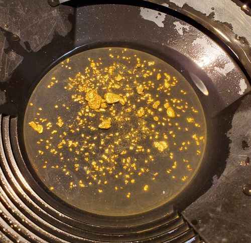 Customer photo review of 2 Lb. JACKPOT PAYDIRT™ Gold Paydirt Unsearched