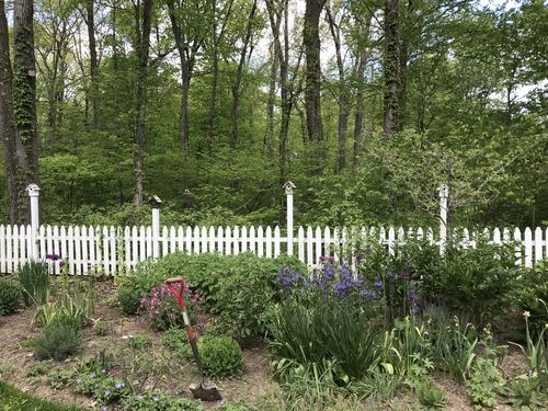Customer photo review of Summer Home Prepack 5 Birdhouses