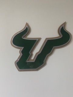Customer photo review of University of South Florida Bull 3D Metal Artwork