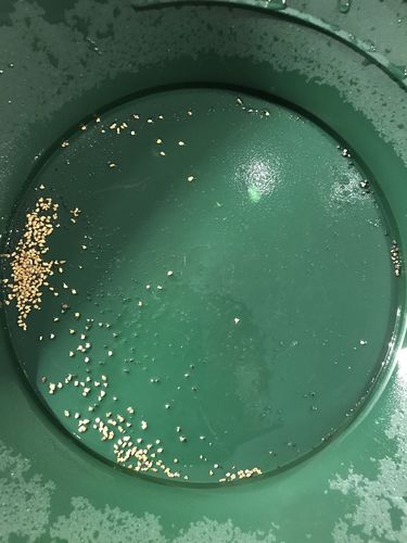 Customer photo review of *Summer 2020* NUGGET RESERVE '3 Ounce Nugget Hunt' - Gold Paydirt Concentrate - Panning Pay Dirt Bag
