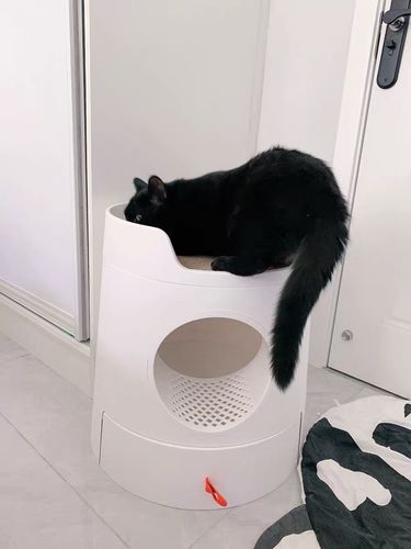Customer photo review of Mayitwill XL Castle 2 in 1 Front-Entry Semi-Closed Cat Litter Box with Scoop