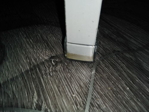 Customer photo review of (PACK 4 Unid.) Protectores para Silla Universal