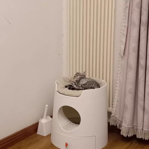 Customer photo review of Mayitwill XL Castle 2 in 1 Front-Entry Semi-Closed Cat Litter Box with Scoop