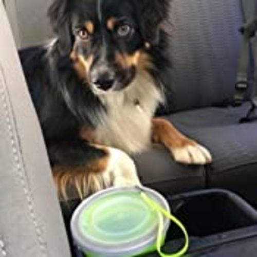 Customer photo review of SILICONE FOLDING CUP COLOR