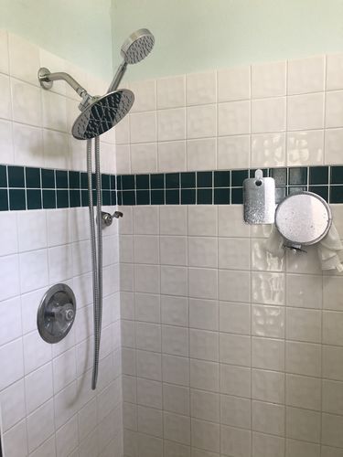 Customer photo review of 1-Spray Dual Shower Head Set