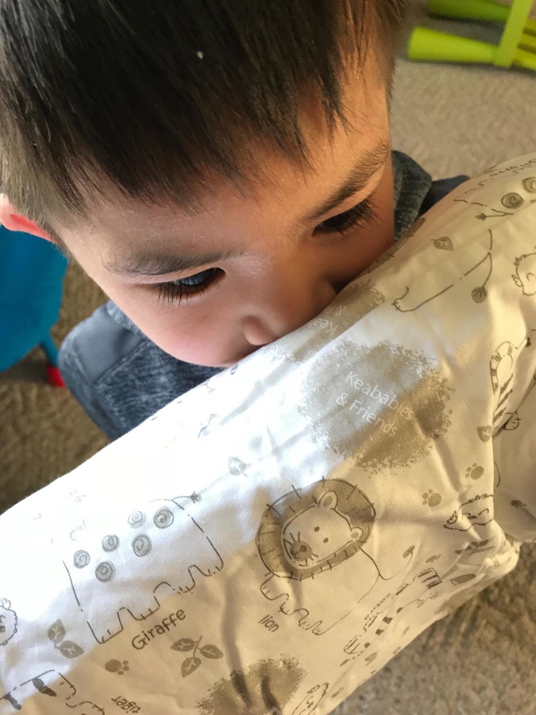 Customer photo review of Toddler Pillow with Cute Pillowcase