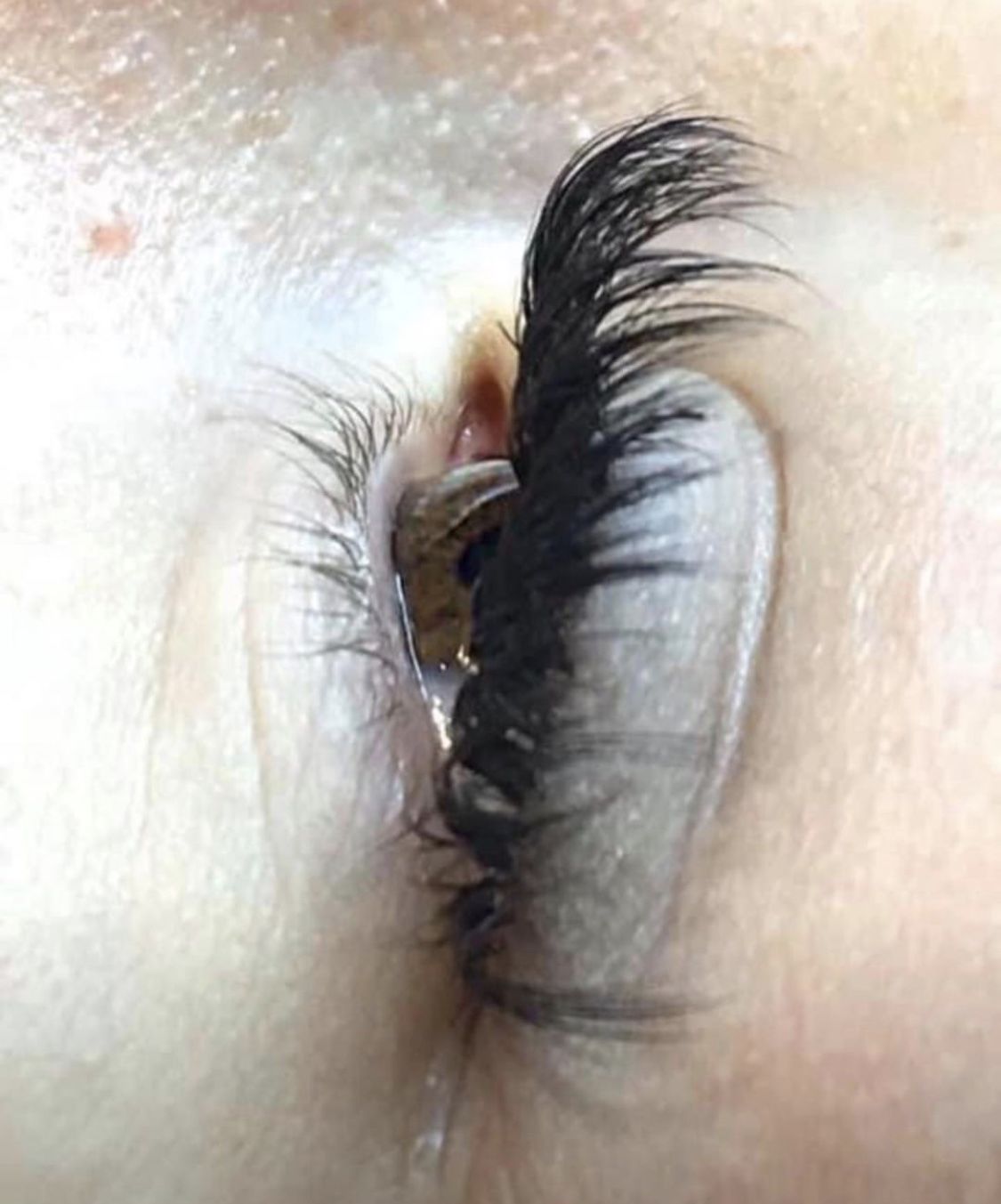 Customer photo review of 4D Russian Volume (16 Lines) LONG STEM