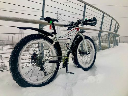 Customer photo review of Wolftrax Alloy Fat Bike 26"