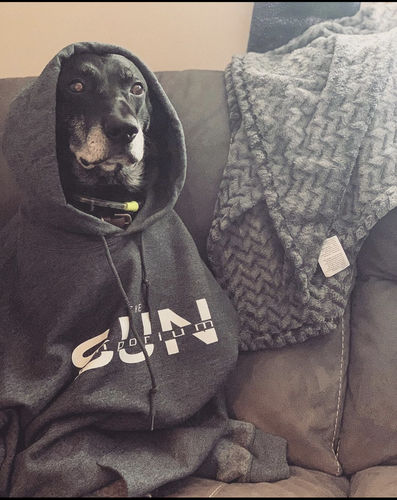 Customer photo review of Heather Grey TSE Hoodie
