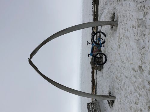 Customer photo review of Alaskan Carbon Fat Bike 27.5" 2020