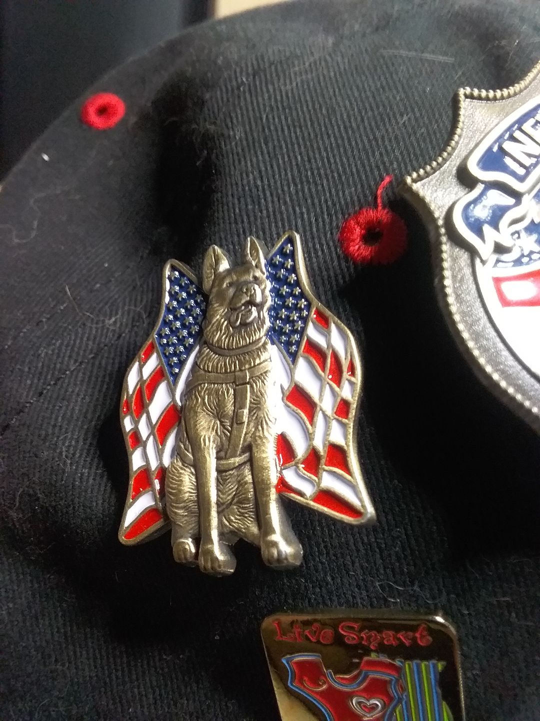 Customer photo review of K-9 Veteran Pin
