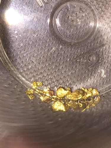 Customer photo review of *BOGO* Pioneer '2 OUNCE NUGGET HUNT' - Gold Panning Paydirt Concentrate