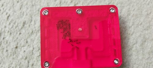 Customer photo review of AntKit Acrylic Nest Series 4 (Size 2)