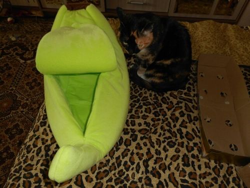 Customer photo review of BANANA CAT BED HOUSE