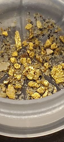 Customer photo review of *BOGO* Pioneer '2 OUNCE NUGGET HUNT' - Gold Panning Paydirt Concentrate
