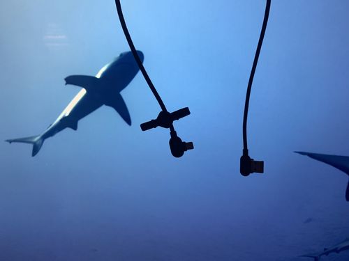 Customer photo review of The Titan Smart Cable™