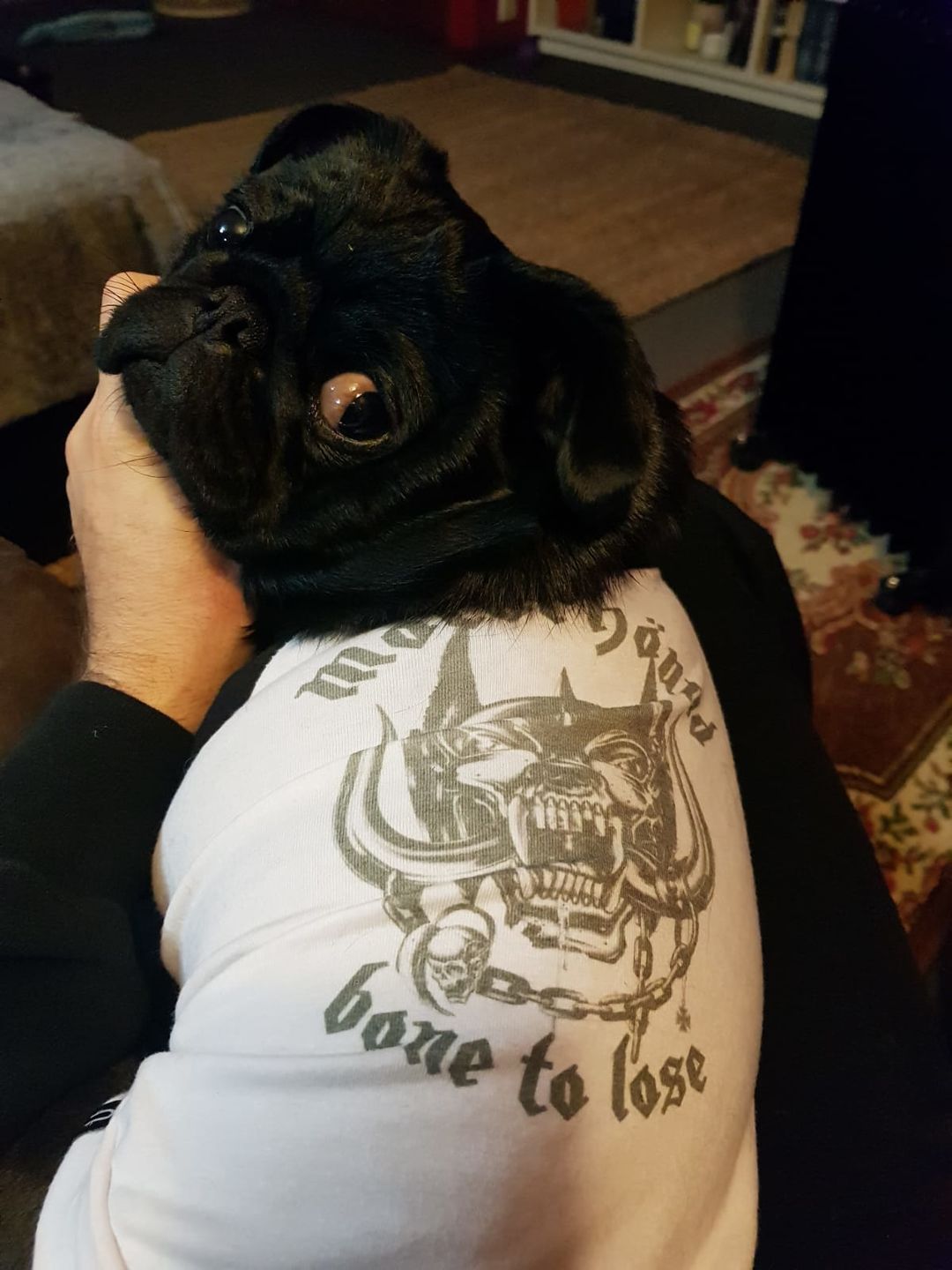 Customer photo review of Motorhound Raglan Dog Tee