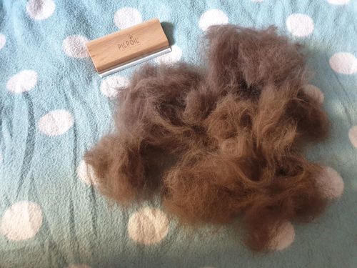 Customer photo review of Brosse Anti-Poils Chien, Chat, Cheval, Lapin | Original | Pilpoil®