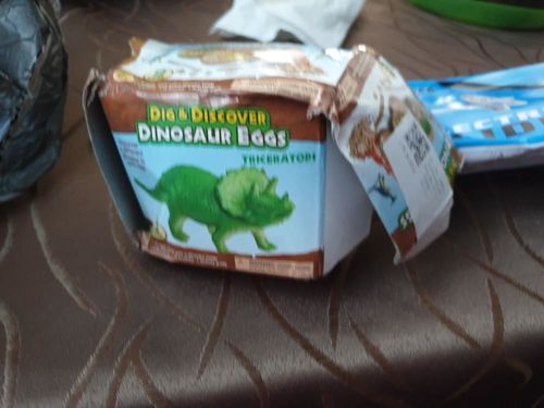 Customer photo review of Scodian™ Dinosaur Mining Egg Toy