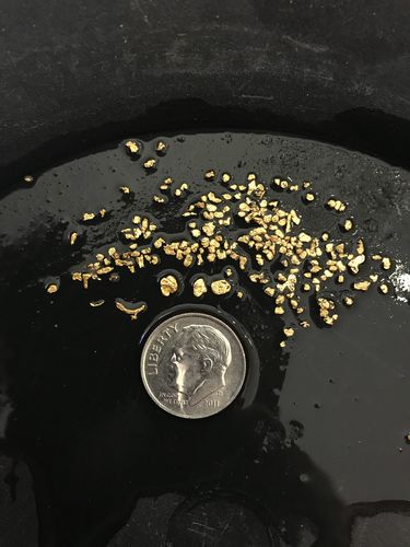 Customer photo review of *BOGO* Pioneer '2 OUNCE NUGGET HUNT' - Gold Panning Paydirt Concentrate