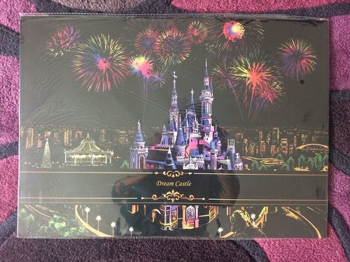 Customer photo review of Pictura Razuibila Disneyland