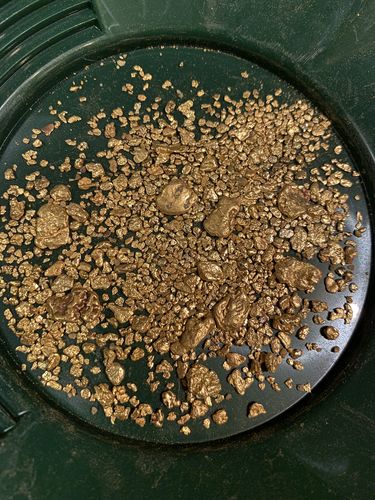 Customer photo review of *BOGO* Pioneer '2 OUNCE NUGGET HUNT' - Gold Panning Paydirt Concentrate