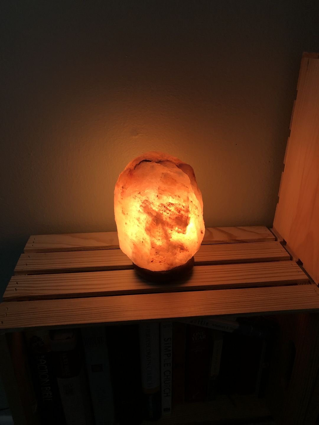 Customer photo review of Replacement Bulb for Himalayan Salt Lamps (15 Watt)