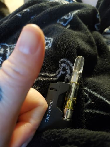 Customer photo review of Hippie Nano+