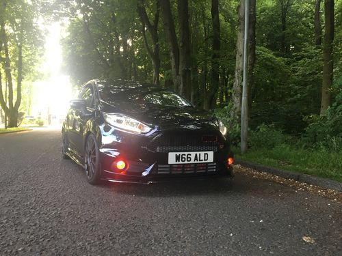 Customer photo review of Fiesta ST180 Fog Light Armour