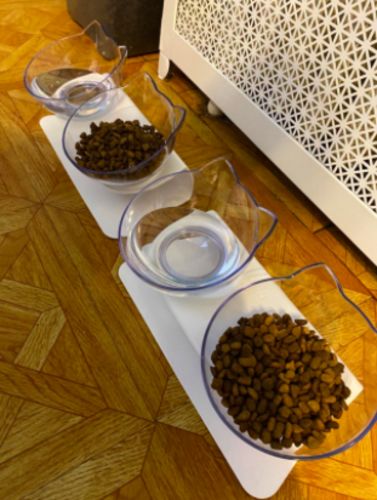 Customer photo review of The PurrrBowl™