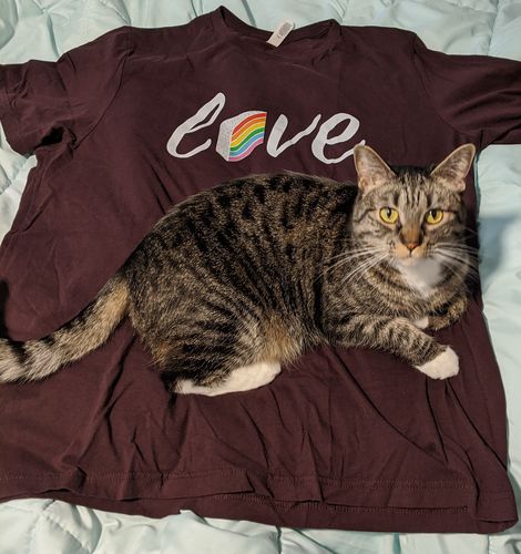 Customer photo review of Love "Rainbow Cake" T-Shirt