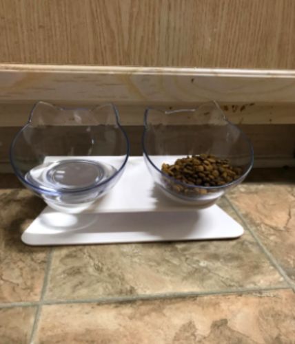 Customer photo review of The PurrrBowl™