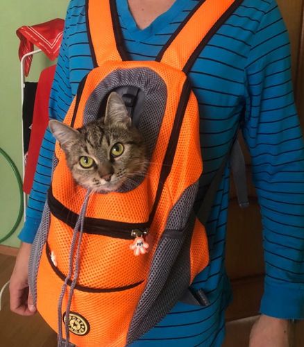 Customer photo review of Dog-Pack© - Der perfekte Hunderucksack