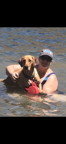 Customer photo review of Jeep distressed hat