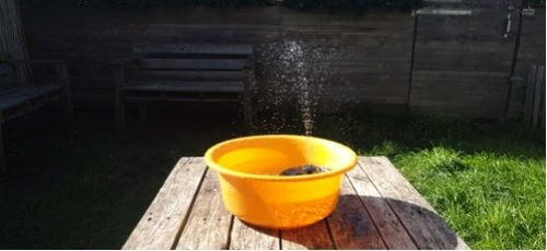 Customer photo review of Automatic Solar Fountain