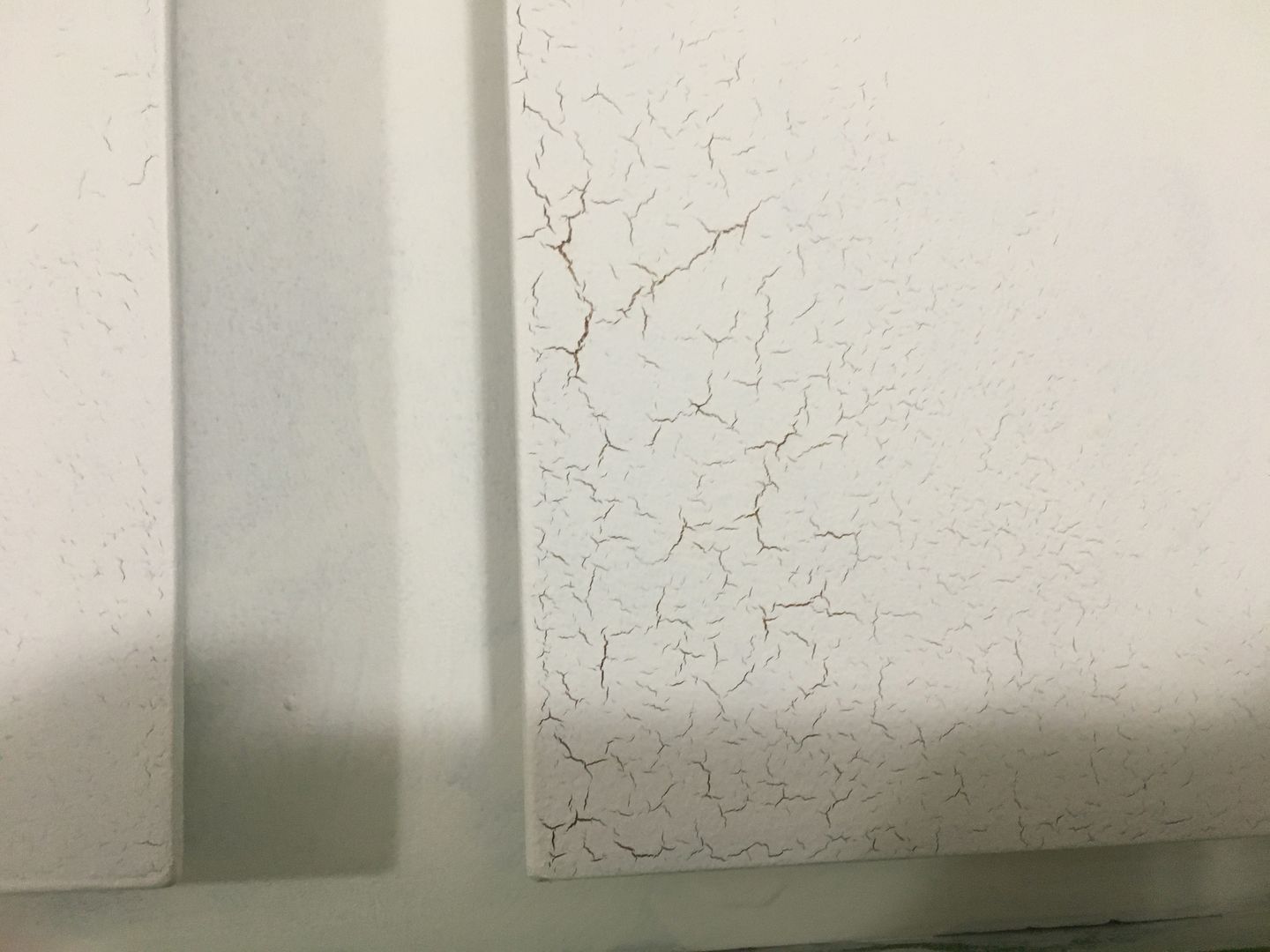 Customer photo review of Winter Snow - One Step Paint