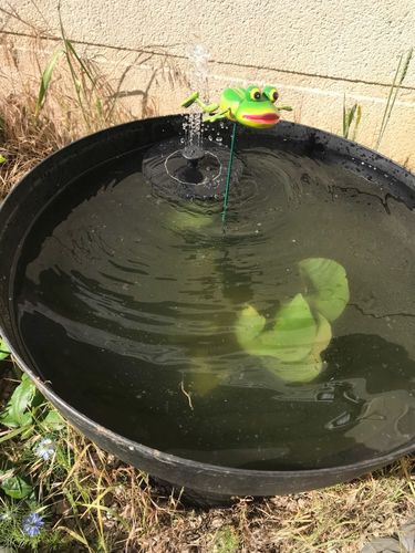 Customer photo review of Automatic Solar Fountain