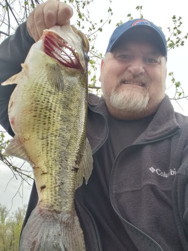 Customer photo review of Headbanger RockerHead 3-pack