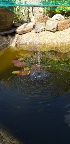 Customer photo review of Automatic Solar Fountain
