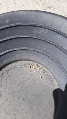 Customer photo review of *Summer 2020* NUGGET RESERVE '3 Ounce Nugget Hunt' - Gold Paydirt Concentrate - Panning Pay Dirt Bag