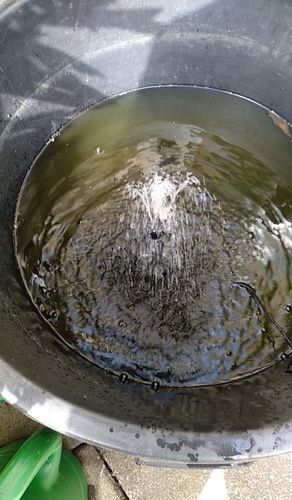 Customer photo review of Automatic Solar Fountain