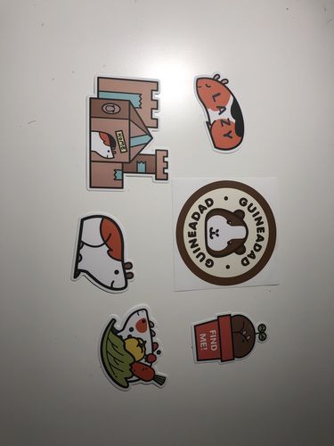 Customer photo review of GuineaDad Waterproof Vinyl Sticker Set 6-Pack (Guinea Pig Stickers)