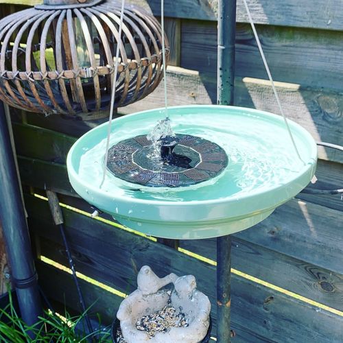 Customer photo review of Automatic Solar Fountain