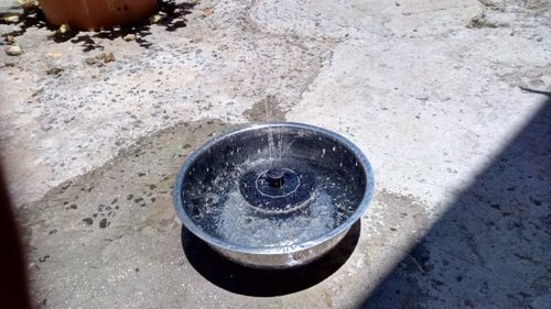 Customer photo review of Automatic Solar Fountain