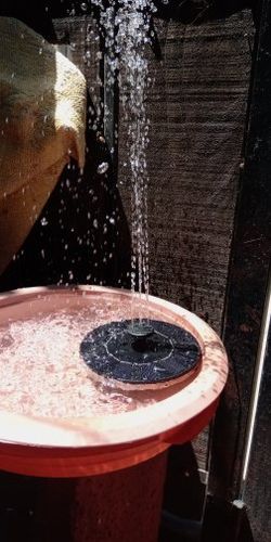 Customer photo review of Automatic Solar Fountain